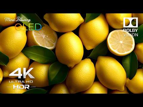 Mind-Blowing OLED COLORS in 4K HDR 120FPS | Dolby Vision Demo (4K / 8K TV)