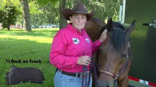 Therapeutic Mesh Sheet | Back on Track