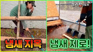 닭장 냄새 1분 만에 끝! EM 용액으로 악취 잡고 천연 비료까지 만드는 법