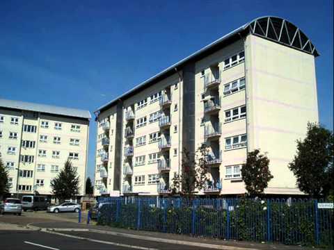 PINKY, DOT, NUTTY  N  RAMONE   F  K GREY GANG VIOLATION PISSTAKE