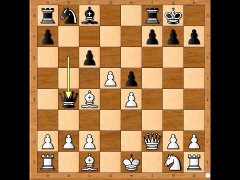 Put bez povratka dvostruki šah i mat - SCHLTEN vs HORWITZ - Otvaranje Lovcem #348