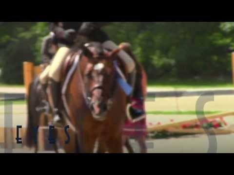 •∑• Until It H U R T S •∑•