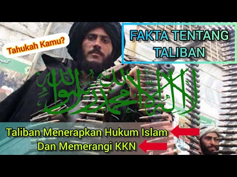 Tahukah Kamu? | Fakta Tentang Taliban | Global Unik