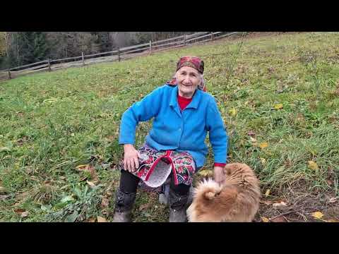 An Ancient Bread Recipe and a Mysterious Preparation for Winter