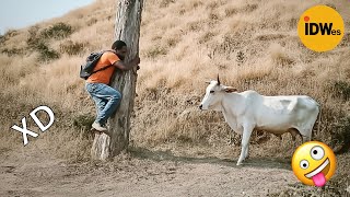 Download lagu SI TE RÍES PIERDES NIVEL DIOS #347 🤣 LOS VIDEOS GRACIOSOS Y MEMES MÁS VIRALES DEL 2025 😁 mp3 Download lagu SI TE RÍES PIERDES NIVEL DIOS #347 🤣 LOS VIDEOS GRACIOSOS Y MEMES MÁS VIRALES DEL 2025 😁 mp3