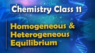 Homogeneous and Heterogeneous Equilibrium - Chemical Equilibrium - Chemistry Class 11