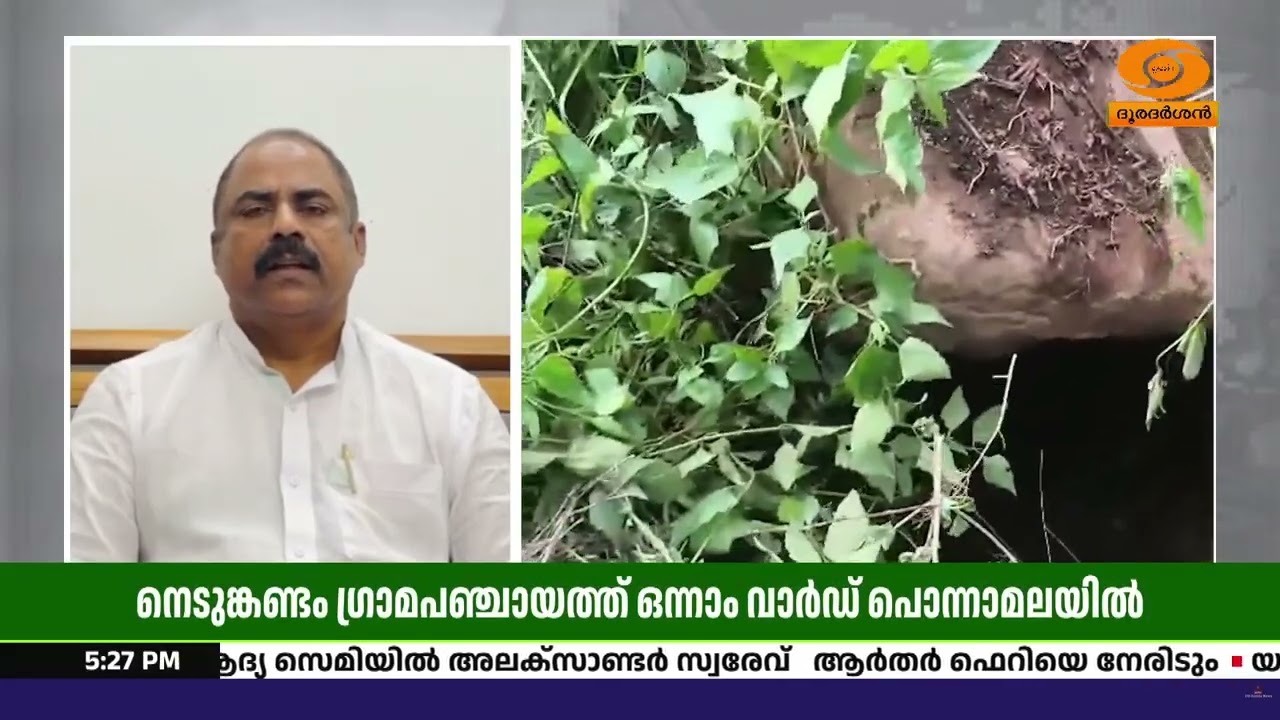 നൂറോളം കുടുംബങ്ങൾക്ക് മുകളിൽ ദുരന്തഭീതി! നെടുങ്കണ്