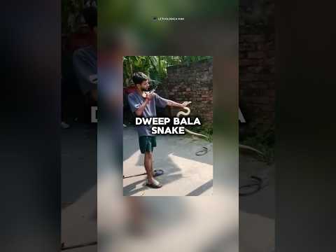 Bro Pikir Dia Panji Sampai Tak Sadar Nyawanya Mau Hilang : Dweep Bala #lethologicaman