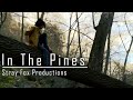 In The Pines | LGBTQ+ Short Film