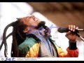 Bob Marley & The Wailers - Deeside Leisure Centre ...