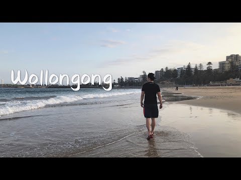 Vlog卧龙岗/伍伦贡