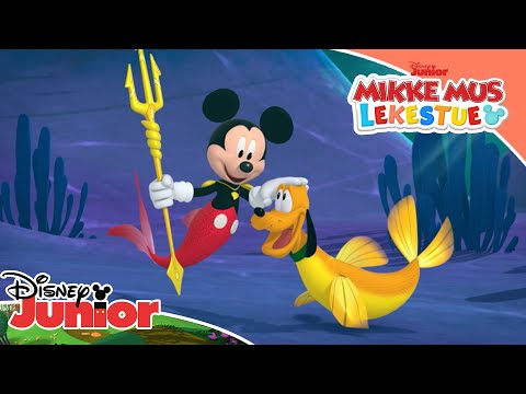 🐱 Kjæledyrdagen  | Mikke Mus Lekestue | Disney Junior Norge