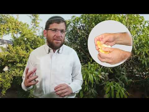 Does fruit that grows in my yard need tithing if I eat it there?