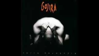 Gojira - Fire Is Everything