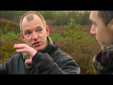 Caledonian Pine Forrest.  Conservation.  BBC Countryfile