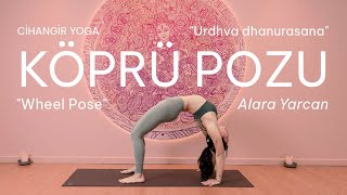 Alara Yarcan ile Köprü Pozu / Wheel Pose with Alara Yarcan