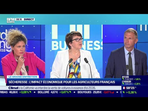 Christiane Lambert (FNSEA) : L'agriculture en première ligne face au changement climatique