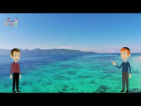 Mon Rabbi 139 - Tout est d’Hachem! | Si'ha