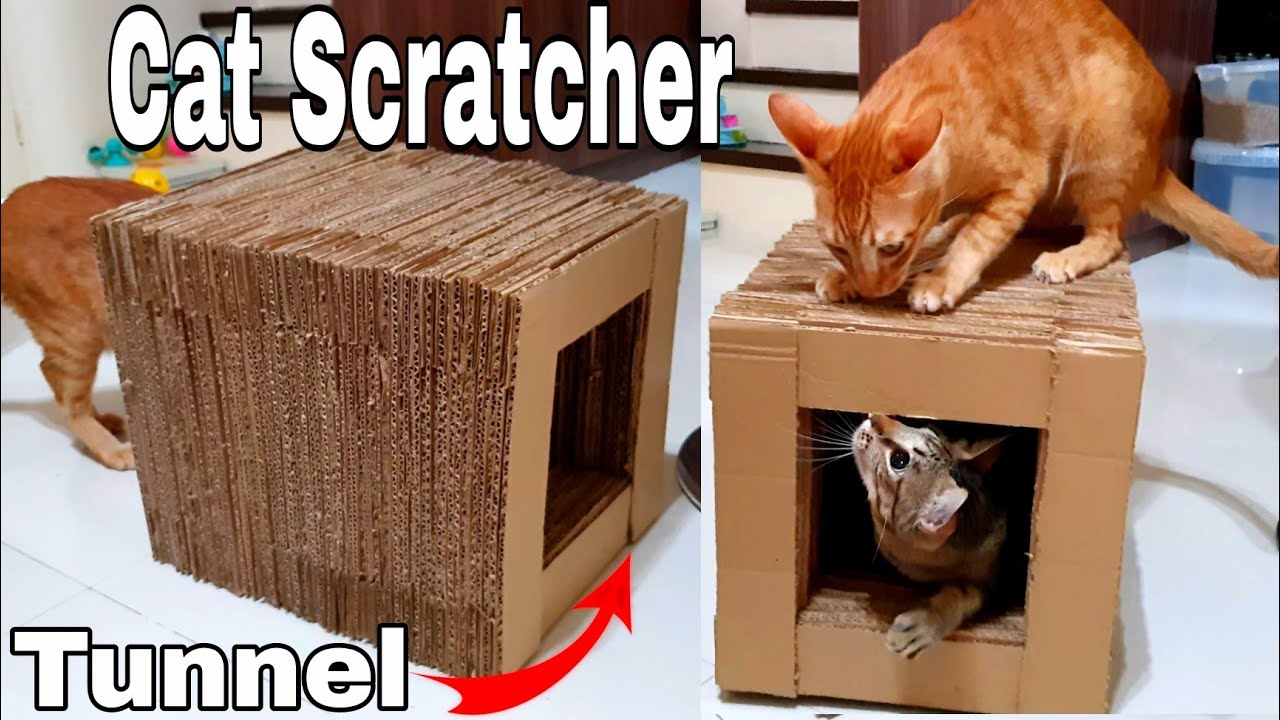 YouTube video preview