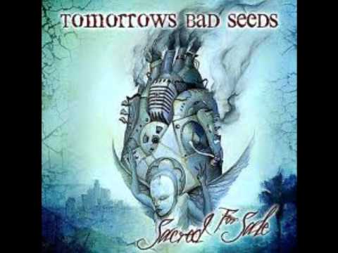 Tomorrows Bad Seeds - Reflect