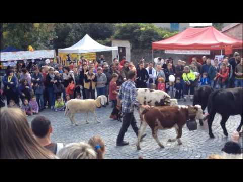 La Desnalpà - Transumanza di Settimo Vittone