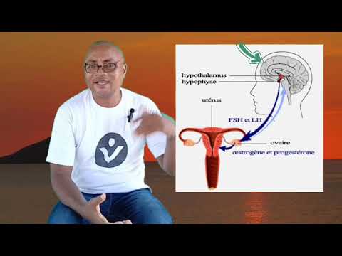 Régulation du cycle menstruel de la femme