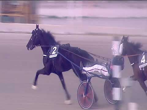 Trotto 17/02/2019 - 5ª corsa