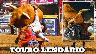 LITTLE YELLOW JACKET | O MAIOR TOURO DA HISTÓRIA DO RODEIO (PBR)