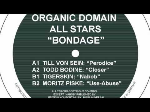 Till von Sein - Perodice