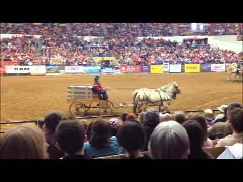 Midwest Horse Fair 2014, Madison Wisconsin