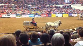 Midwest Horse Fair 2014, Madison Wisconsin
