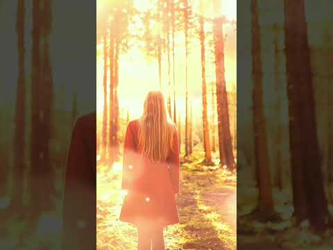 Poylow, Lucky Low, MAD SNAX - Freak Show (feat.India Dupriez).Lyrics/Lirik