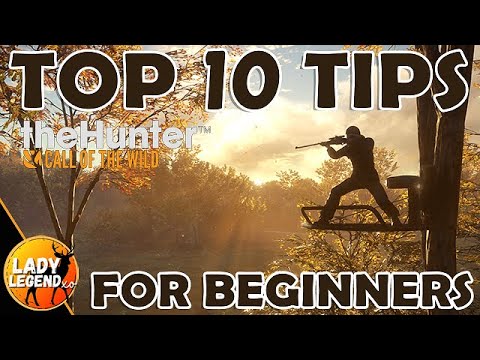 TOP 10 TRICKS & TIPS for BEGINNERS in The Hunter Call of the Wild 2024!!!