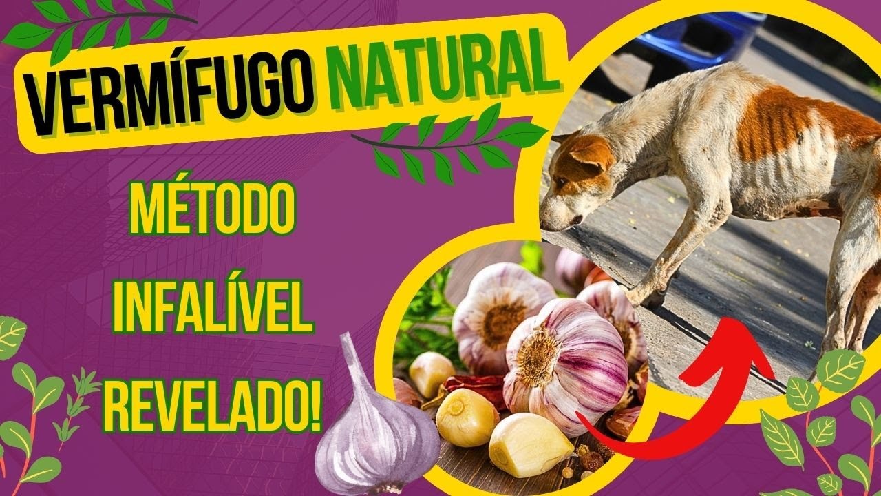 MELHOR VERMÍFUGO PARA CÃES REMÉDIO CASEIRO NATURAL PARA ELIMINAR VERMES DO CACHORRO EM CASA FÁCIL