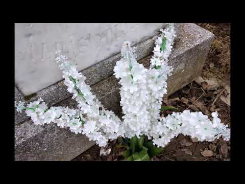 Csorna - 2022. november 11. Az emlékezés napja