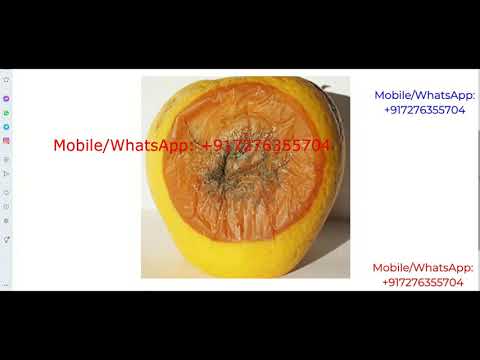Apple Fruit Disease Detection Using Image Processing Python Project With Source Code