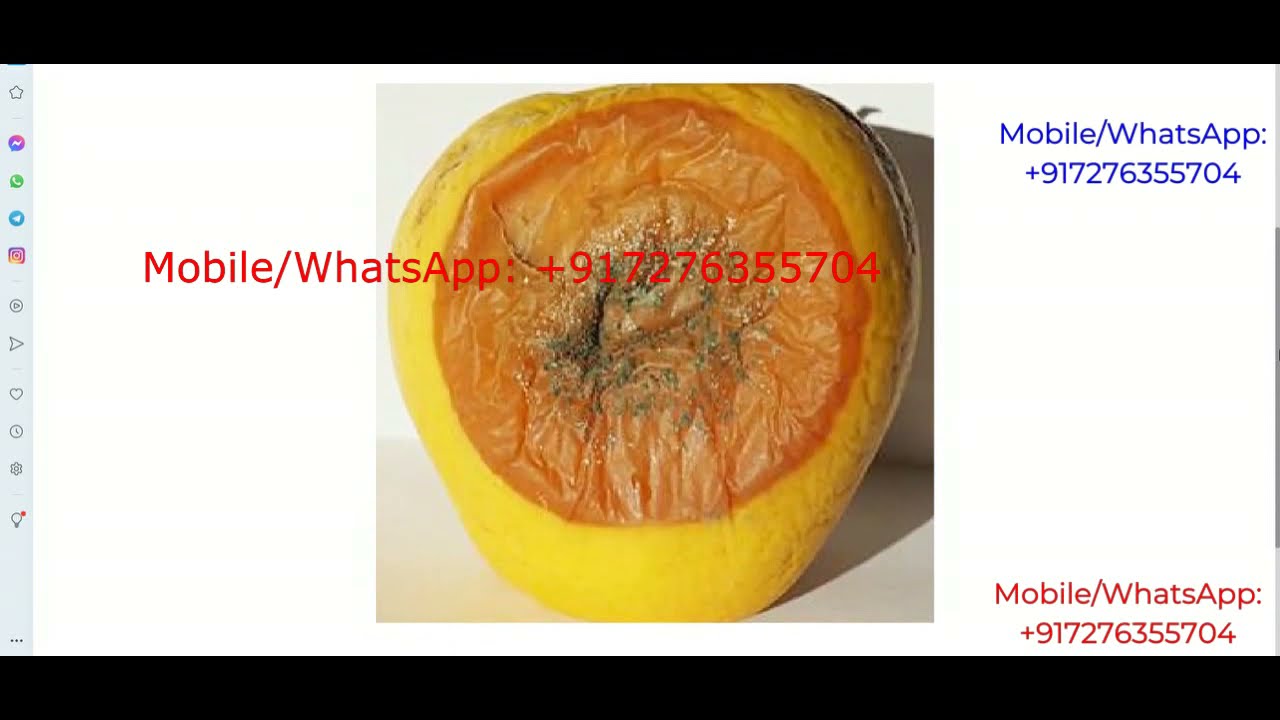 Apple Fruit Disease Detection Using Image Processing | Python Project With Source Code