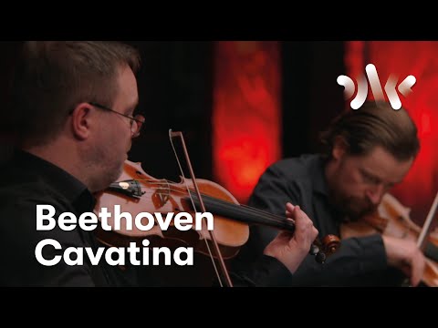 Beethoven: Cavatina from String Quartet No.13