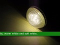 42522 video review thumbnail