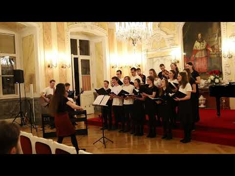 Zůstaň v mé lásce/Zde jsem, zde jsem (Hymna SV 2024) - TuSu-band