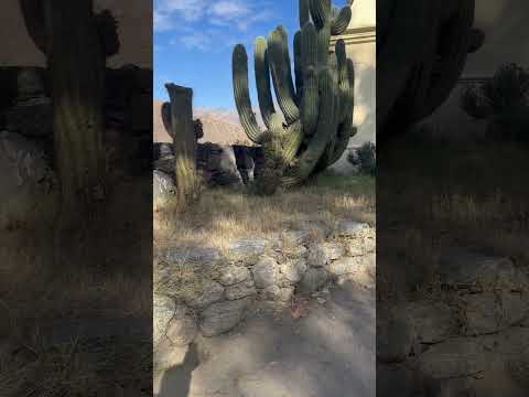 Visita a uma bodega de vinho em cafayate - Salta - Argentina abril de 2026