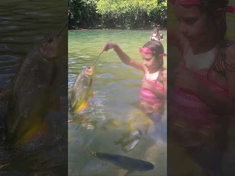 VOC&Ecirc; J&Aacute; VIU UM PEIXE PULANDO? #shorts #peixes