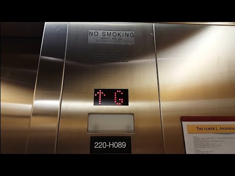 MEI Hydraulic Elevator (North) @ Andersen Library - U of M - Minneapolis, MN