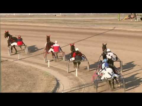 2022.02.12. 04. futam - SÁMSON DÍJ