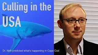 Culling in the USA: Part1 - Will it Happen?