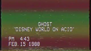 Disney World On Acid (AUDIO)