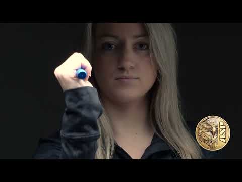 ASP Snapshot – Metro Defender