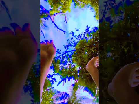 hand dance 🎶,🌺🌺🌺🌺🌺🌺🌺🌺🌺🌺🌺🌺