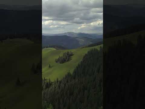 Click x Gavrila - O poveste Romaneasca #shorts