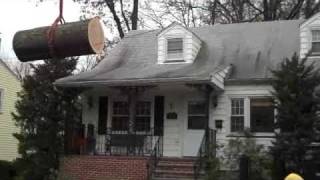 Hey Vinnie! Can I borrow your tree?